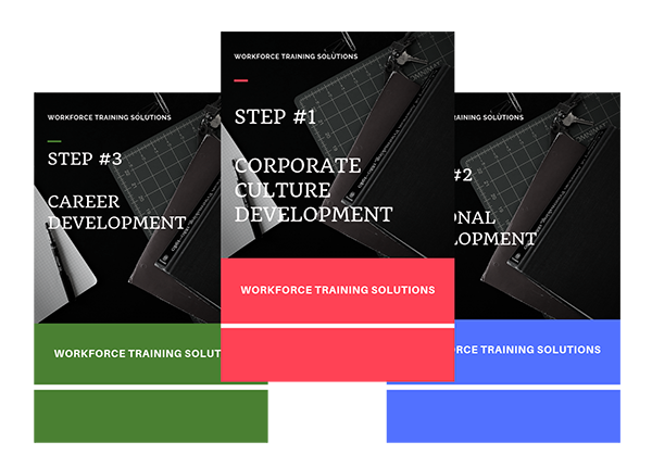 THE INCUBATOR: "STEPS" - ES Training & Corporate Culture Development Course